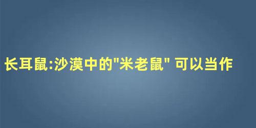 长耳鼠:沙漠中的"米老鼠" 可以当作宠物饲养吗